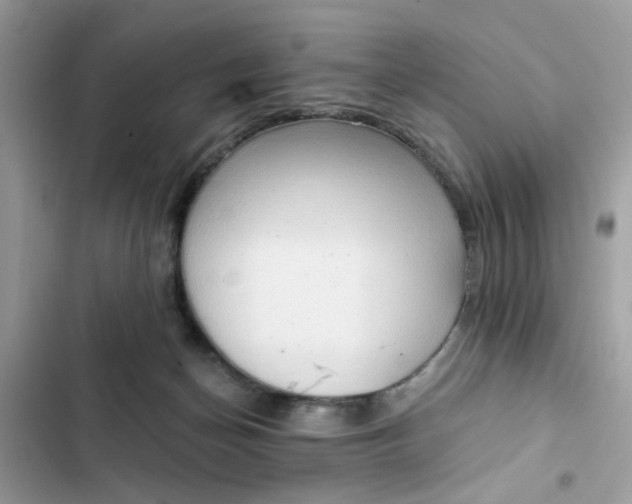 X0000102350174200808151758