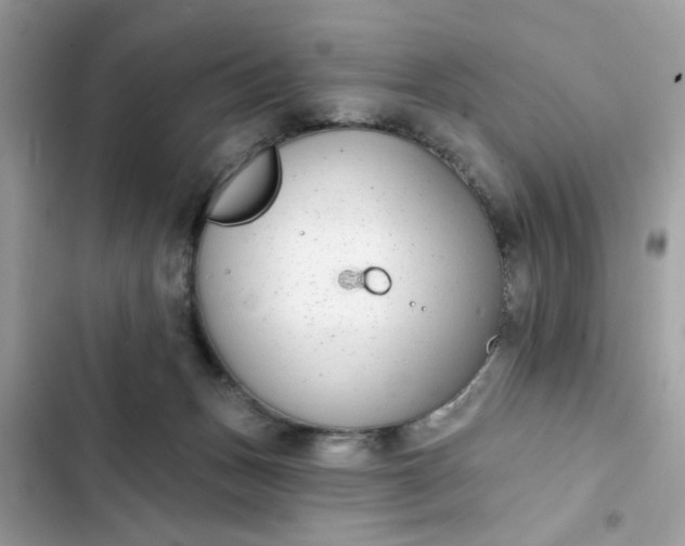 X0000102350175200808151758