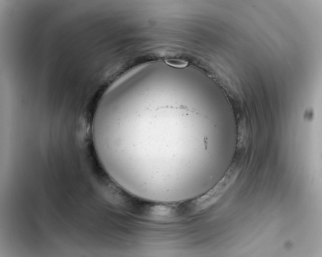 X0000102350176200808151759