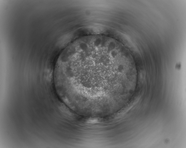 X0000102350177200808151759