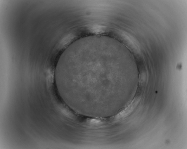 X0000102350180200808151759