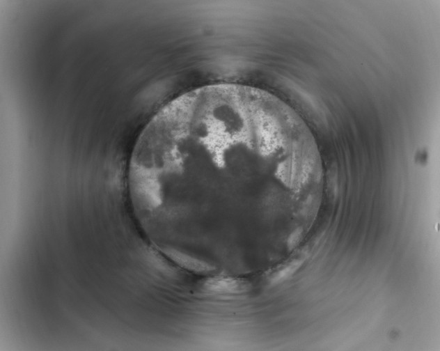 X0000102350181200808151759