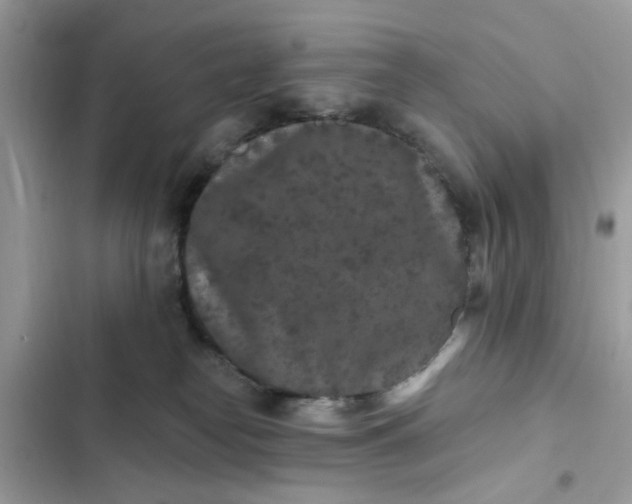 X0000102350182200808151759