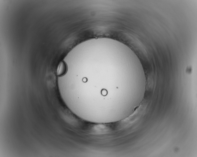 X0000102350183200808151759