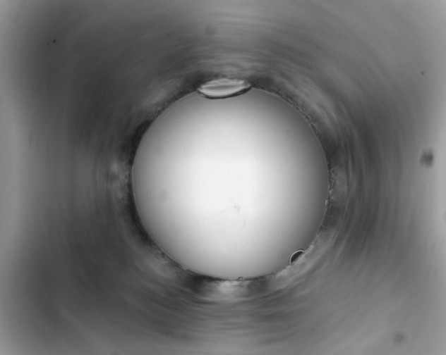 X0000102350184200808151759