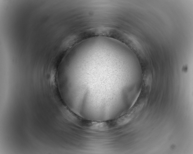 X0000102350185200808151759