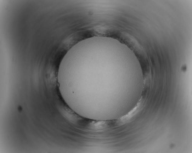 X0000102350186200808151759