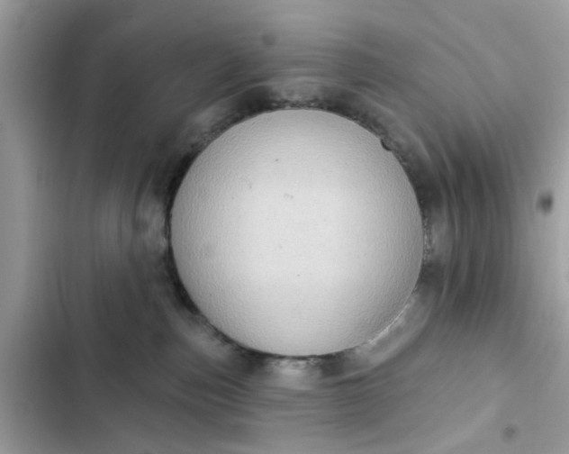 X0000102350187200808151759