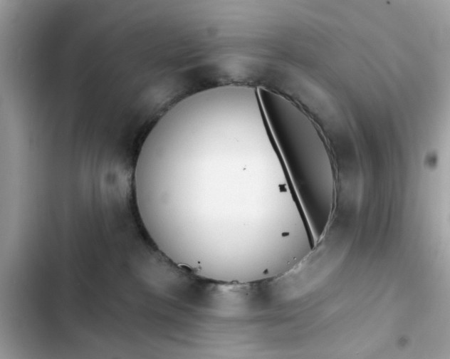 X0000102350188200808151759