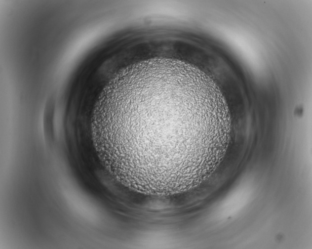 X0000102350189200808151759