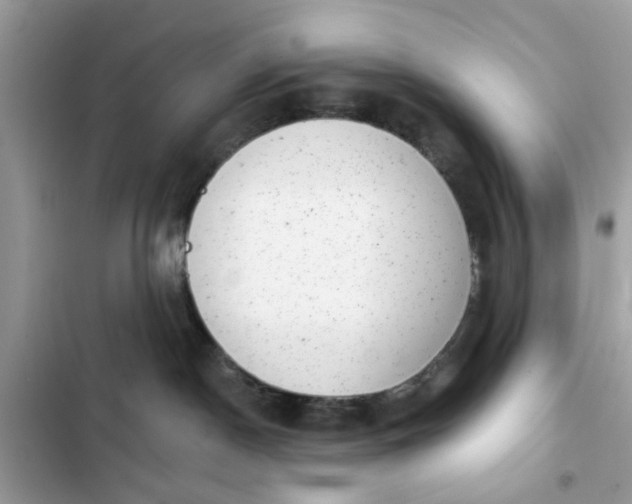 X0000102350190200808151759