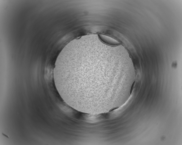 X0000102350191200808151759