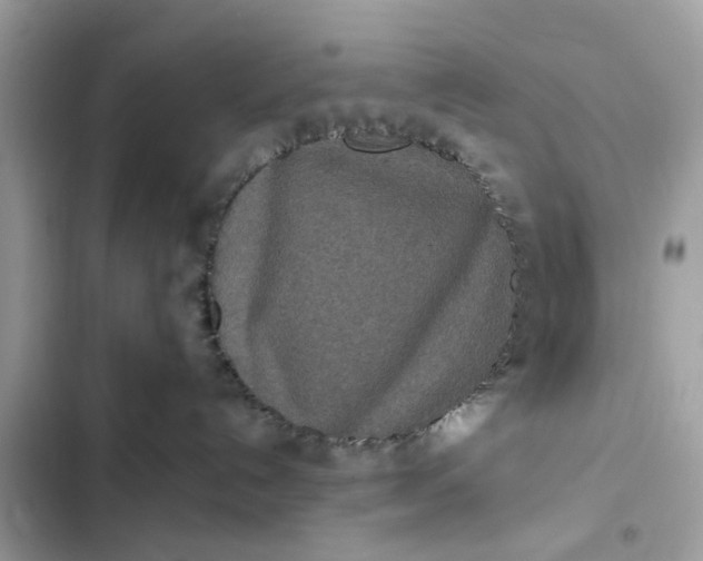 X0000102350192200808151759