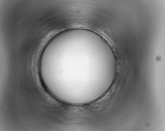 X0000102350193200808151758