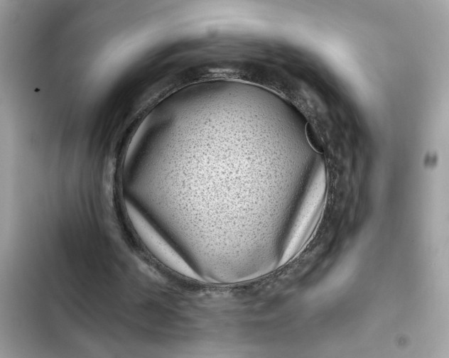 X0000102350194200808151758