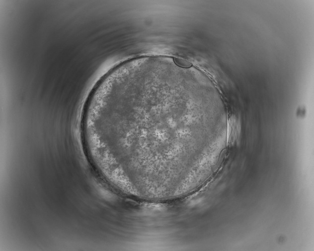 X0000102350195200808151758