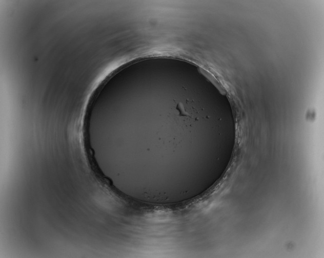 X0000102350196200808151758