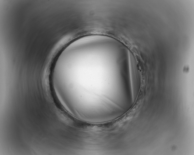 X0000102350197200808151758