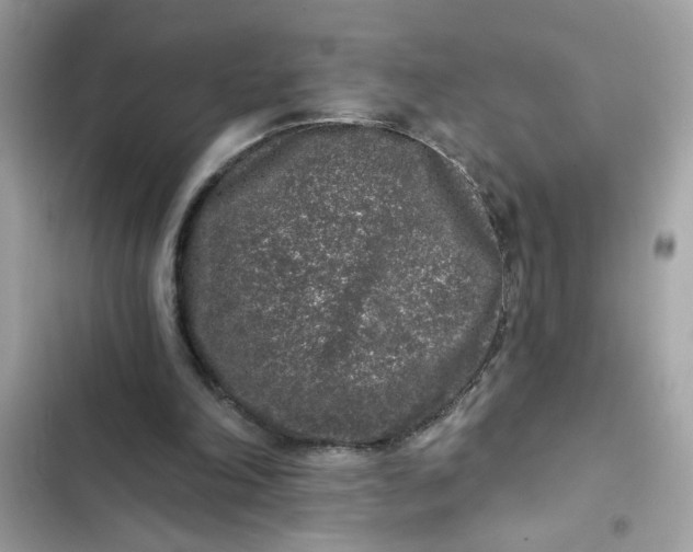 X0000102350198200808151758