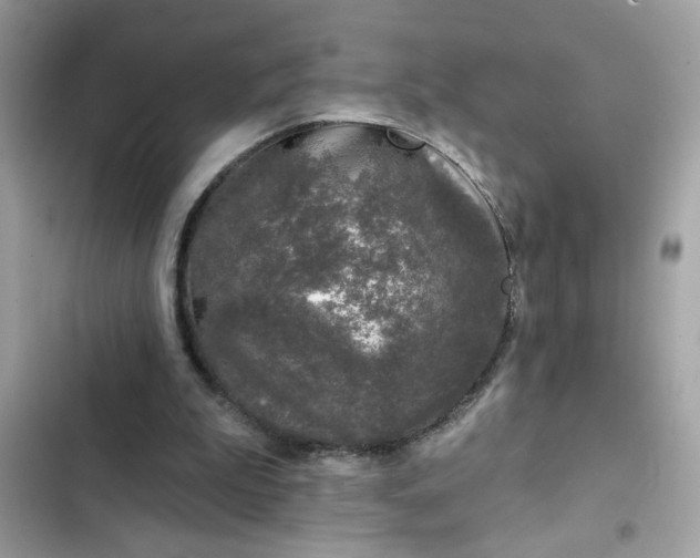 X0000102350199200808151758