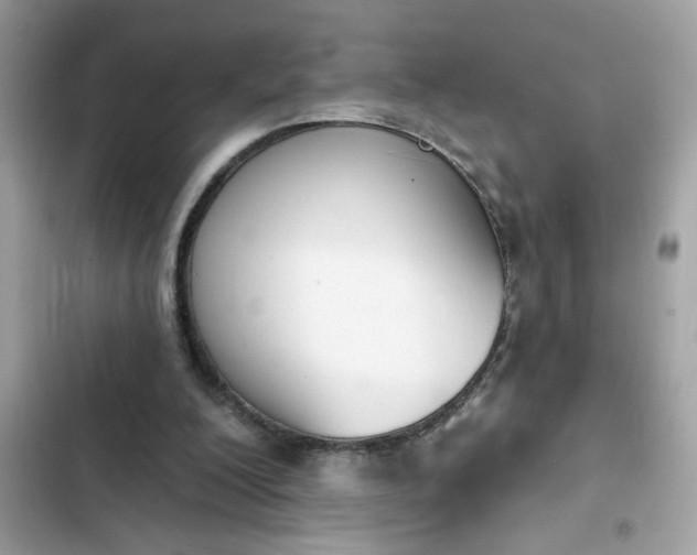 X0000102350200200808151758