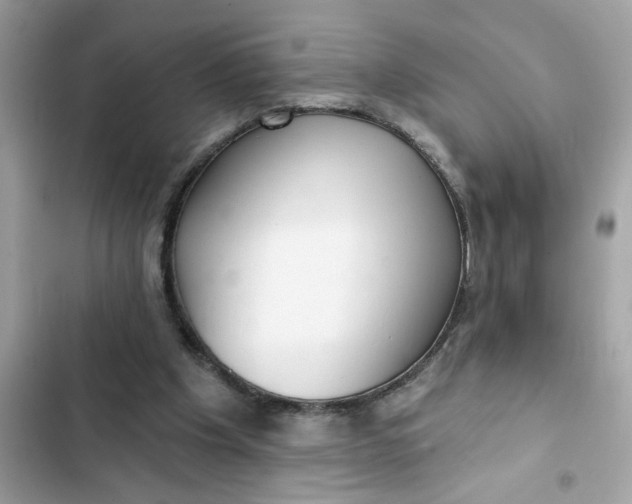 X0000102350201200808151758