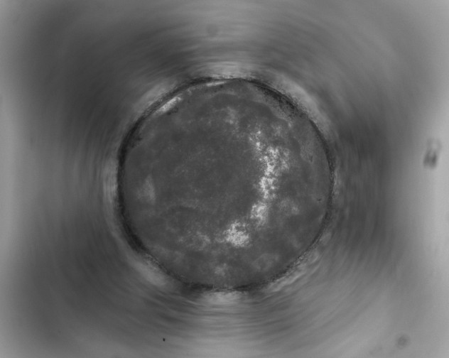 X0000102350202200808151758