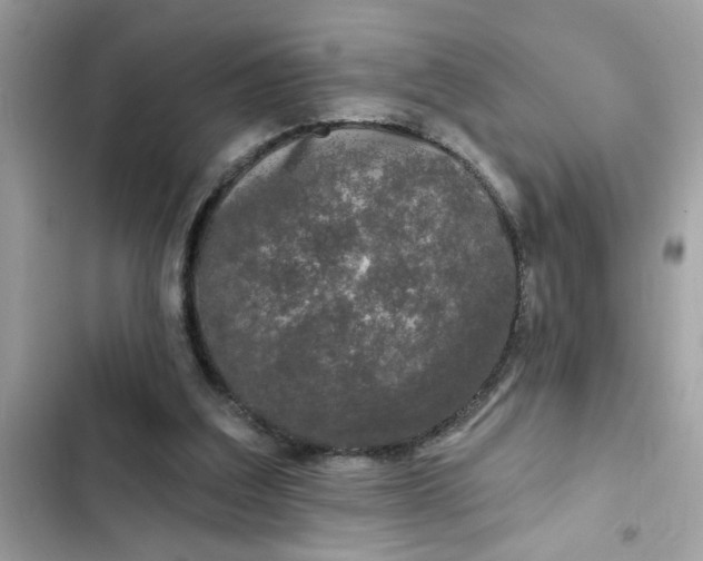 X0000102350203200808151758