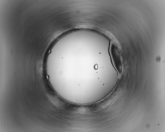 X0000102350204200808151758