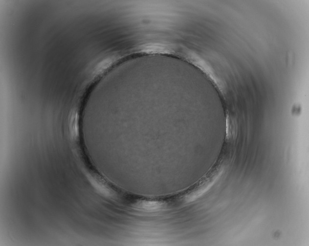 X0000102350205200808151758