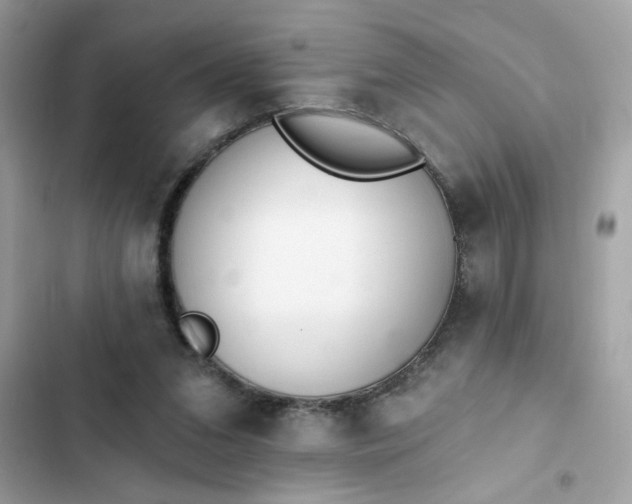 X0000102350207200808151758