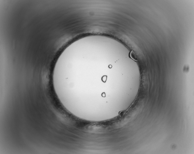 X0000102350208200808151758