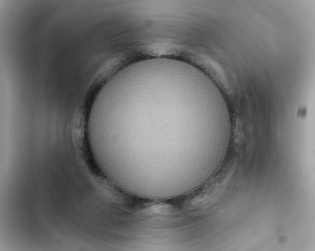 X0000102350210200808151758