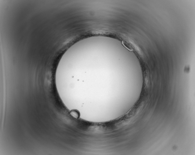 X0000102350211200808151758