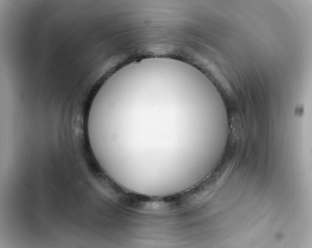 X0000102350212200808151758