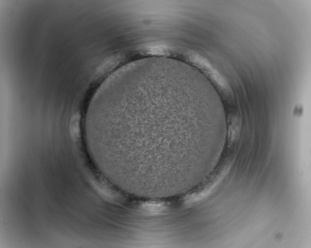 X0000102350213200808151758