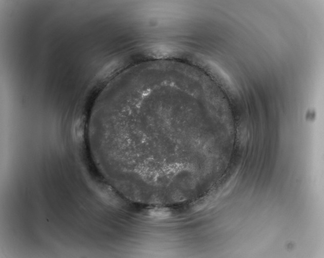 X0000102350214200808151758