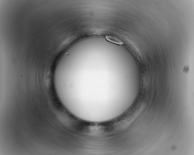 X0000102350216200808151758