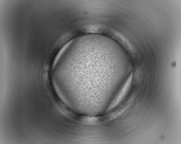 X0000102350217200808151758