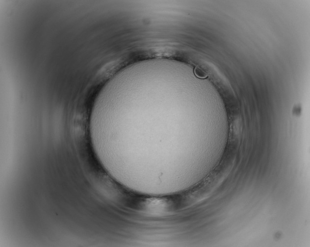 X0000102350218200808151758