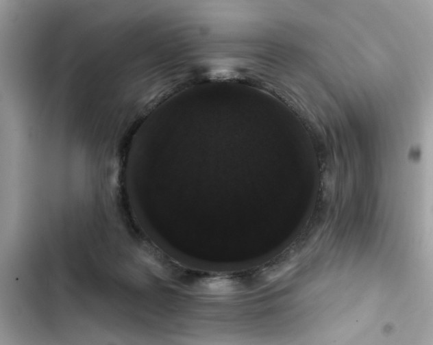 X0000102350219200808151758