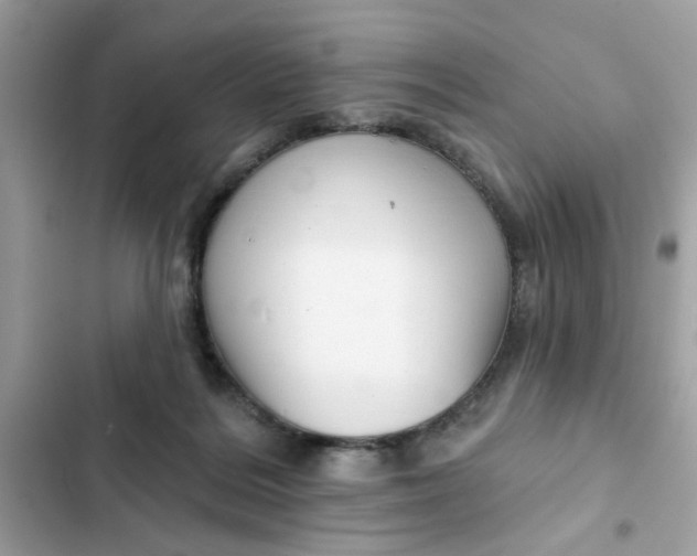 X0000102350220200808151758