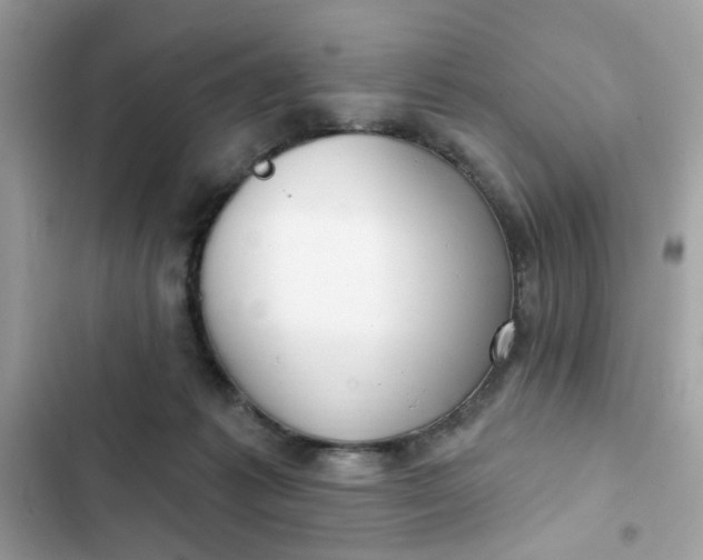 X0000102350221200808151758