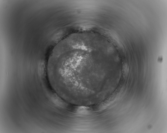 X0000102350222200808151758