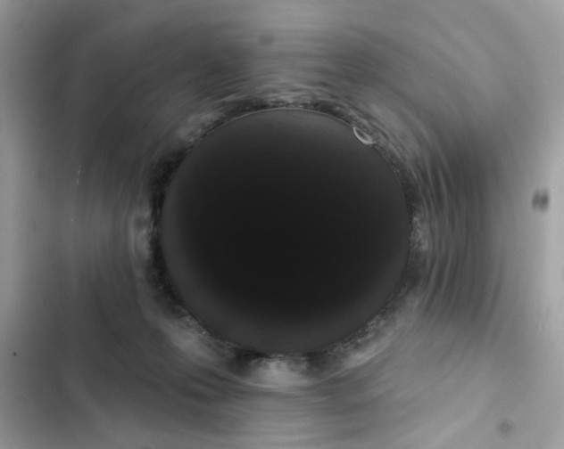 X0000102350223200808151758