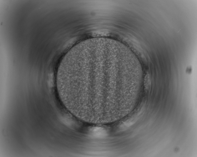 X0000102350224200808151758