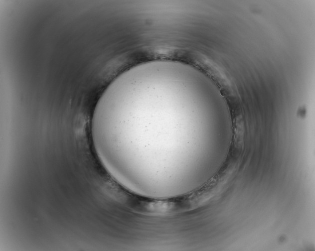 X0000102350225200808151758