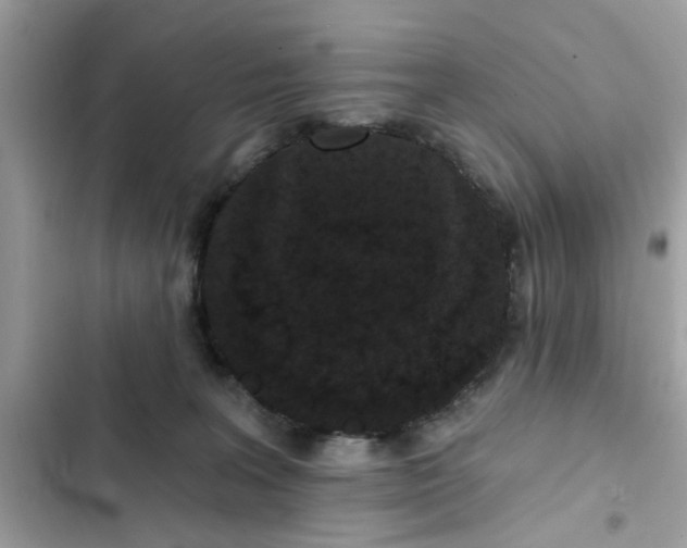 X0000102350227200808151758