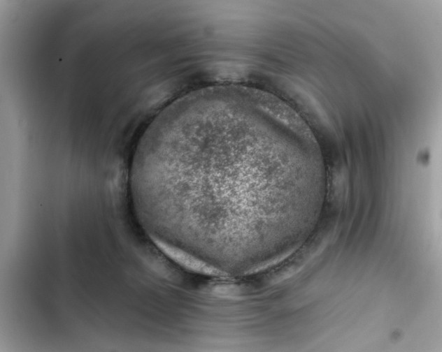 X0000102350228200808151758