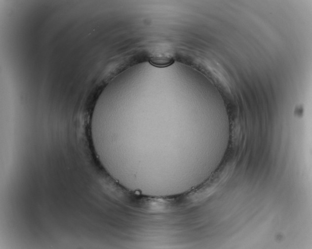 X0000102350229200808151758